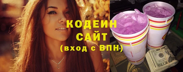 ECSTASY Богданович