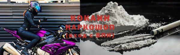 ECSTASY Богданович