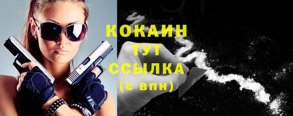 ECSTASY Богданович