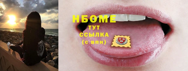 ECSTASY Богданович