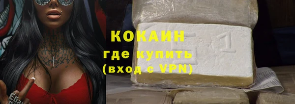 ECSTASY Богданович