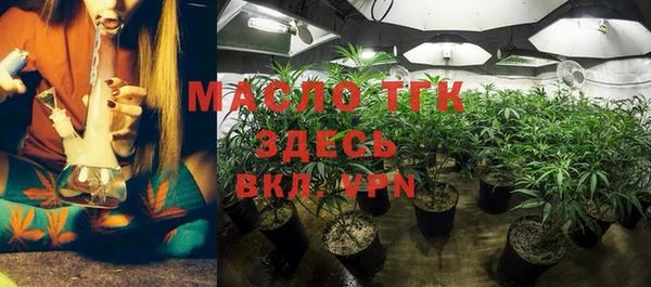 ECSTASY Богданович