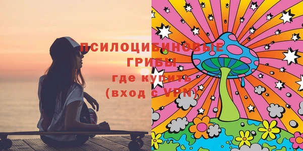 PSILOCYBIN Богородск
