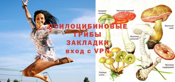 PSILOCYBIN Богородск