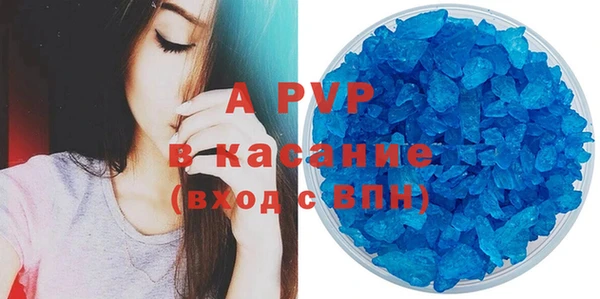 ECSTASY Богданович