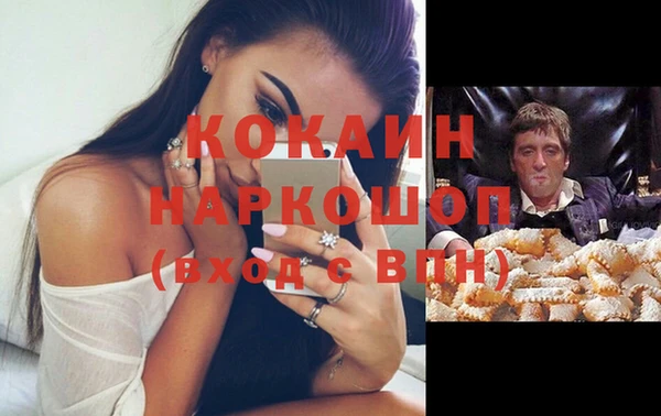 ECSTASY Богданович