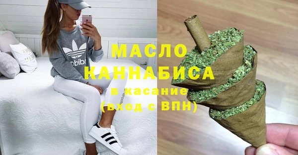 ECSTASY Богданович