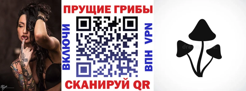 Псилоцибиновые грибы MAGIC MUSHROOMS  кракен ТОР  Мурманск 